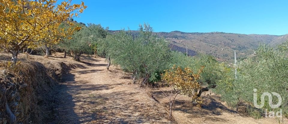 Terrain agricole à Freixo de Espada à Cinta e Mazouco de 6 000 m²