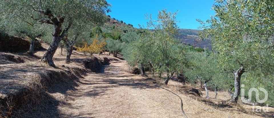 Terrain agricole à Freixo de Espada à Cinta e Mazouco de 6 000 m²