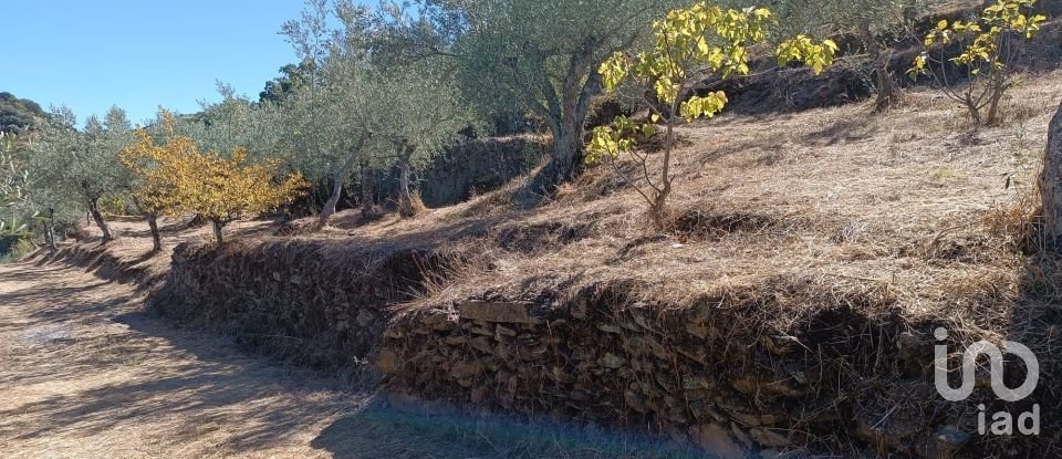 Terreno Agrícola em Freixo de Espada à Cinta e Mazouco de 6 000 m²