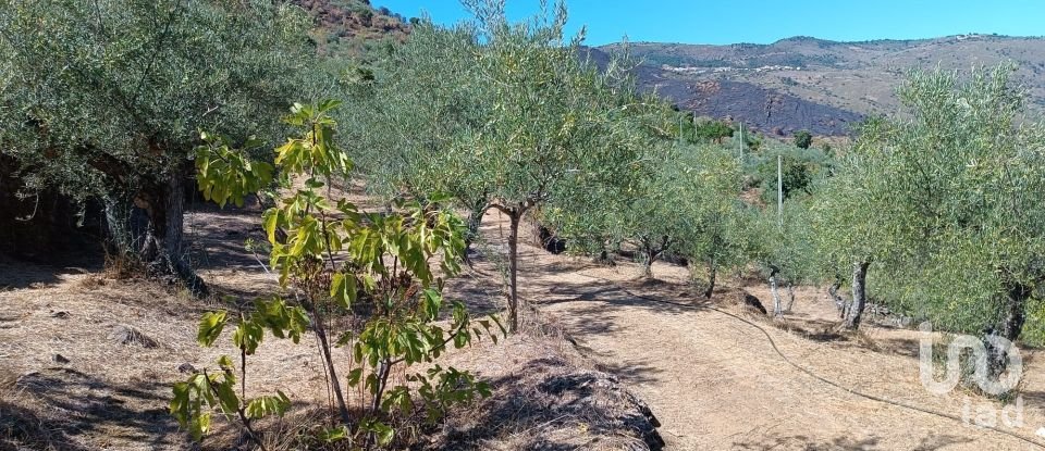 Terrain agricole à Freixo de Espada à Cinta e Mazouco de 6 000 m²