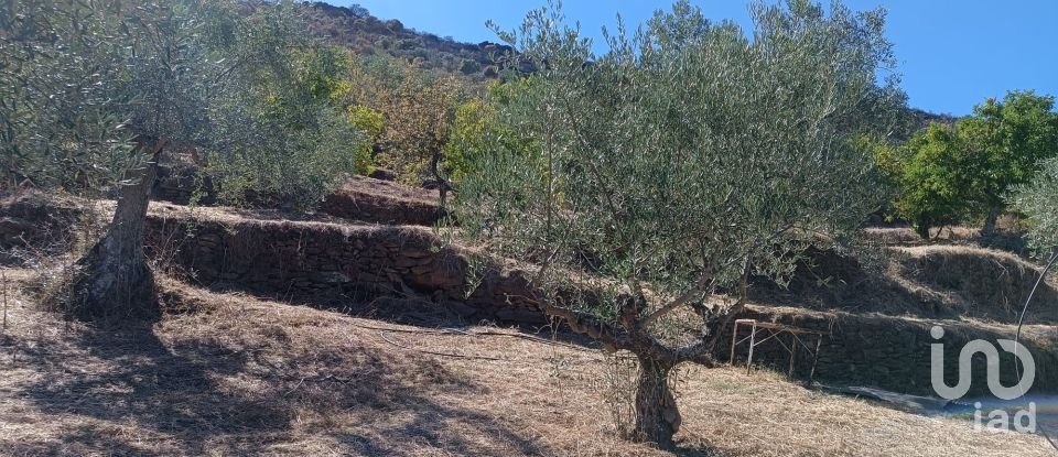 Terrain agricole à Freixo de Espada à Cinta e Mazouco de 6 000 m²