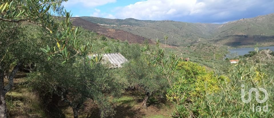 Terrain agricole à Freixo de Espada à Cinta e Mazouco de 6 000 m²