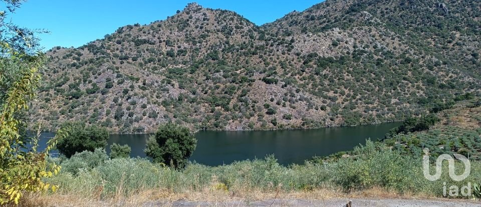 Terreno Agrícola em Freixo de Espada à Cinta e Mazouco de 6 000 m²