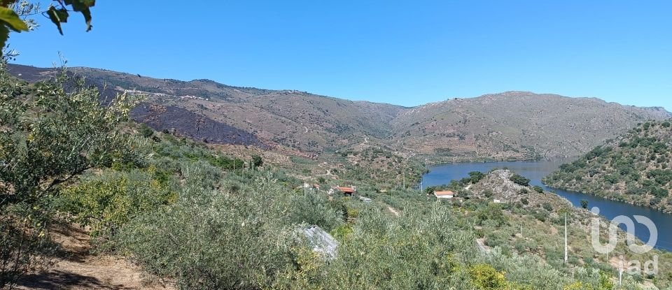 Terrain agricole à Freixo de Espada à Cinta e Mazouco de 6 000 m²