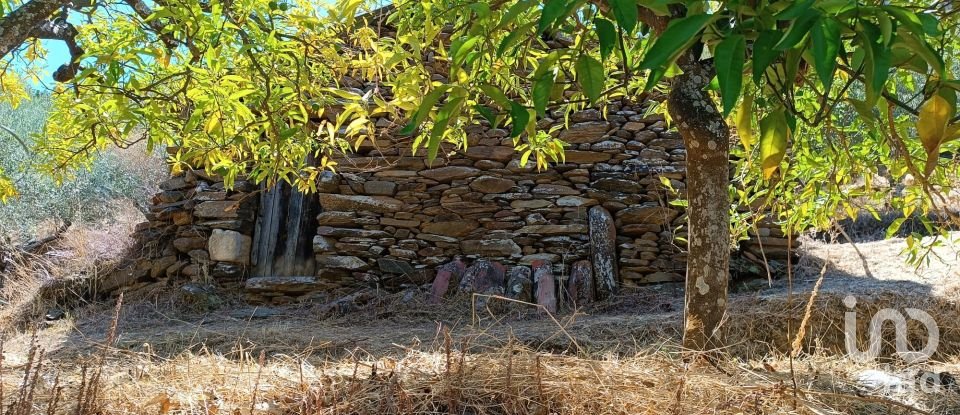 Terreno Agrícola em Freixo de Espada à Cinta e Mazouco de 6 000 m²