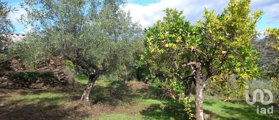 Terrain agricole à Freixo de Espada à Cinta e Mazouco de 6 000 m²