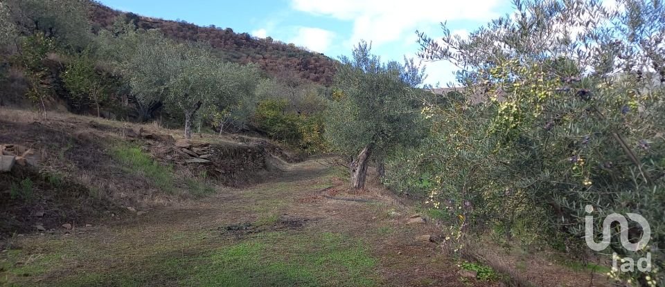 Terrain agricole à Freixo de Espada à Cinta e Mazouco de 6 000 m²