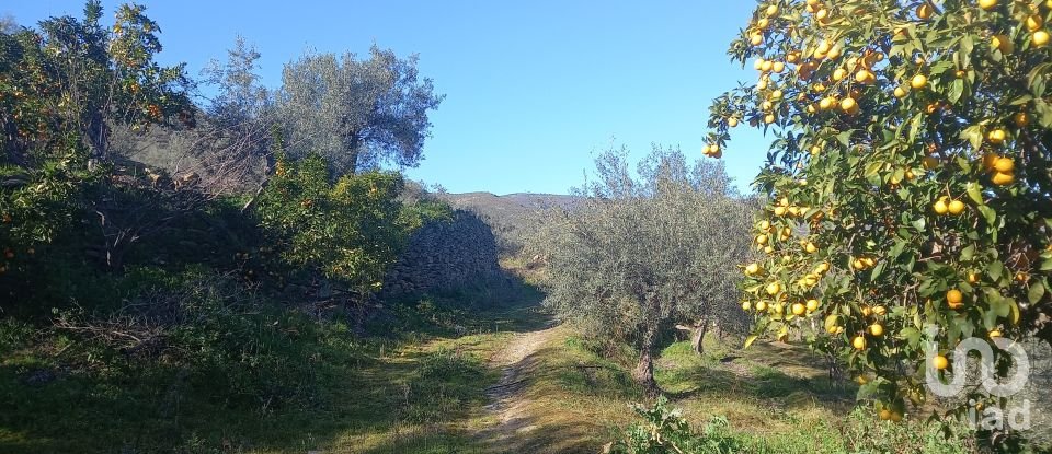 Terreno Agrícola em Freixo de Espada à Cinta e Mazouco de 6 000 m²