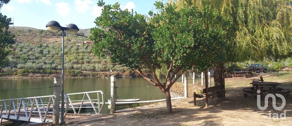 Terreno Agrícola em Freixo de Espada à Cinta e Mazouco de 6 000 m²