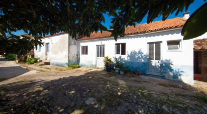 Village house T3 in Anobra of 176 m²