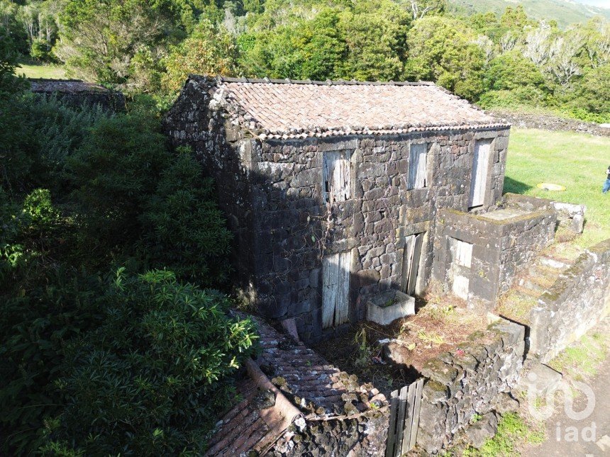 Maison traditionnelle T0 à Ribeiras de 140 m²