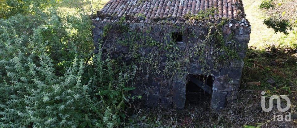 Maison traditionnelle T0 à Ribeiras de 140 m²