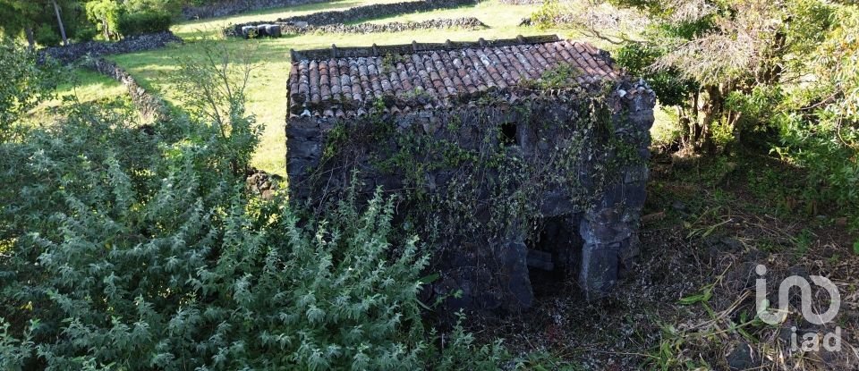 Traditional house T0 in Ribeiras of 140 m²