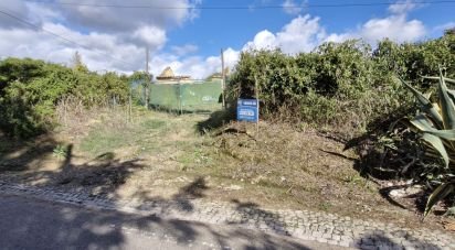 Land in Ereira e Lapa of 4,240 m²