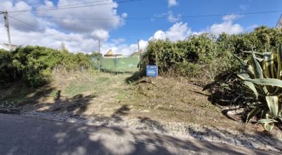 Land in Ereira e Lapa of 4,240 m²