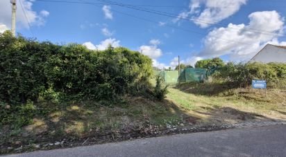 Land in Ereira e Lapa of 4,240 m²