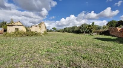 Terreno em Ereira e Lapa de 4 240 m²