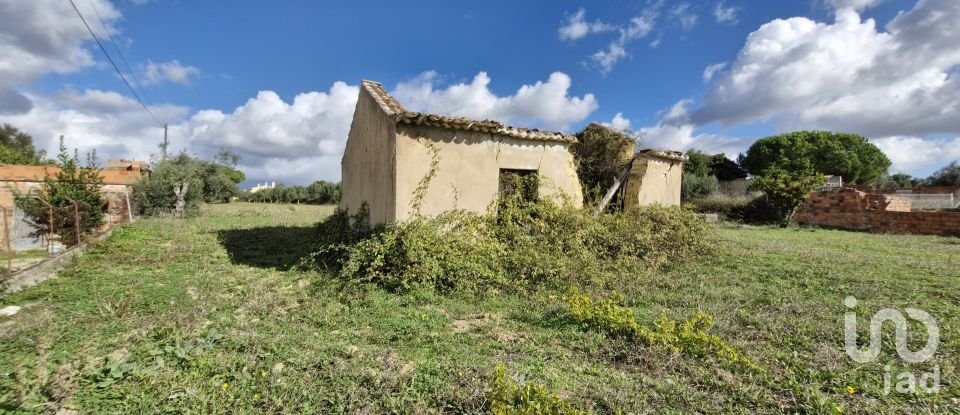 Terreno em Ereira e Lapa de 4 240 m²