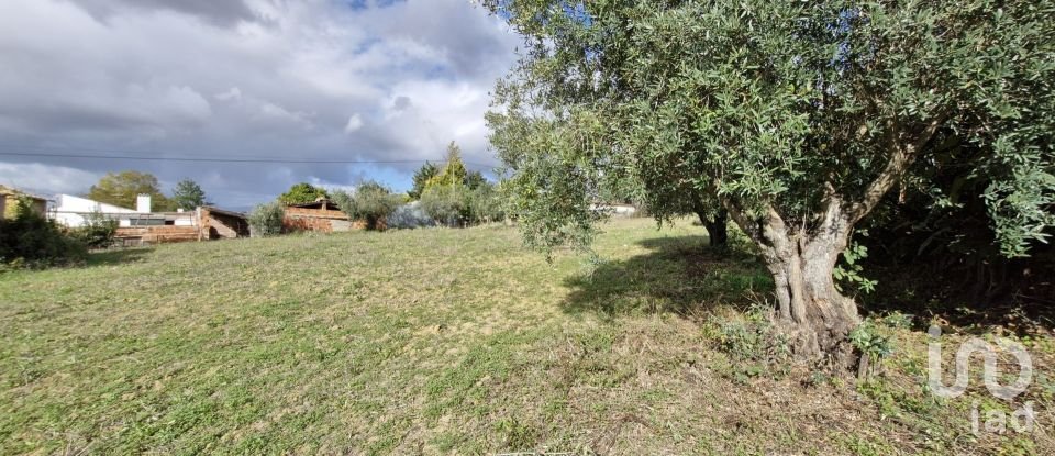 Land in Ereira e Lapa of 4,240 m²