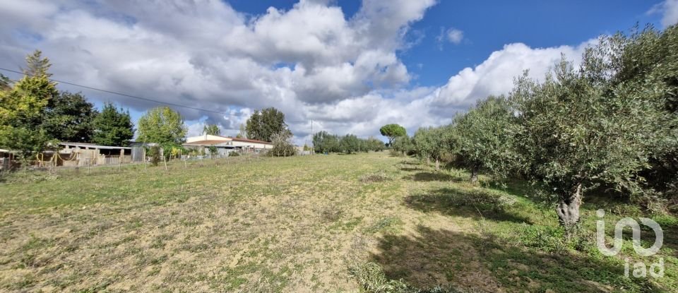 Land in Ereira e Lapa of 4,240 m²