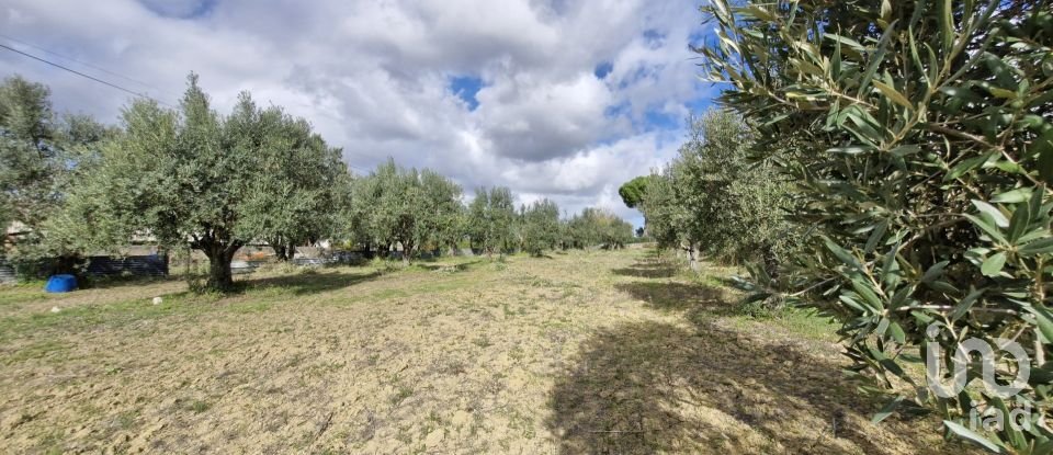 Land in Ereira e Lapa of 4,240 m²