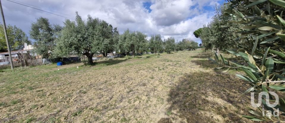 Land in Ereira e Lapa of 4,240 m²