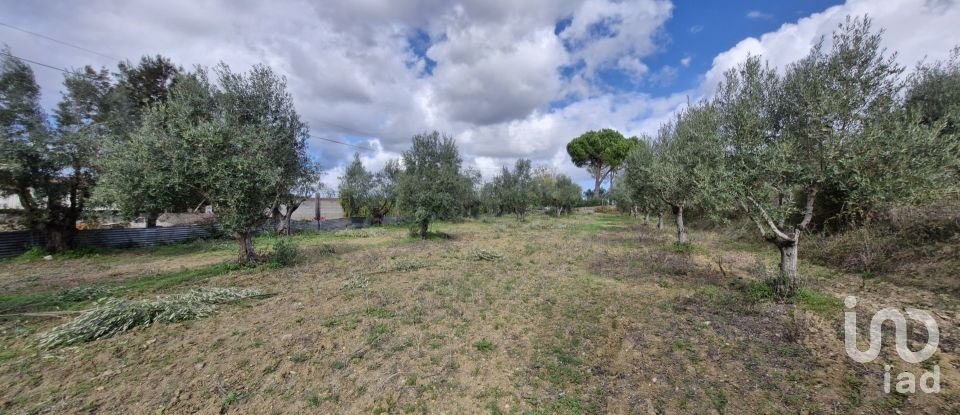 Land in Ereira e Lapa of 4,240 m²