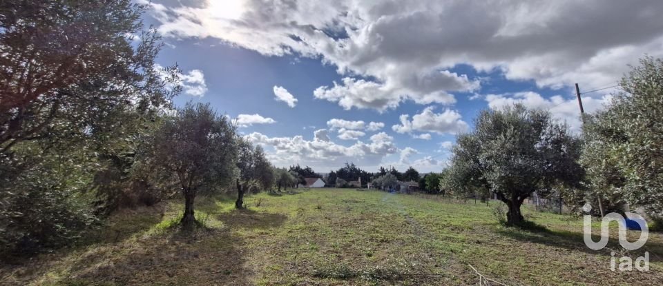 Land in Ereira e Lapa of 4,240 m²