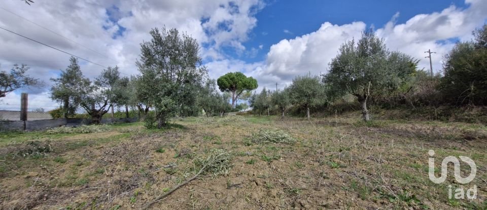 Terreno em Ereira e Lapa de 4 240 m²