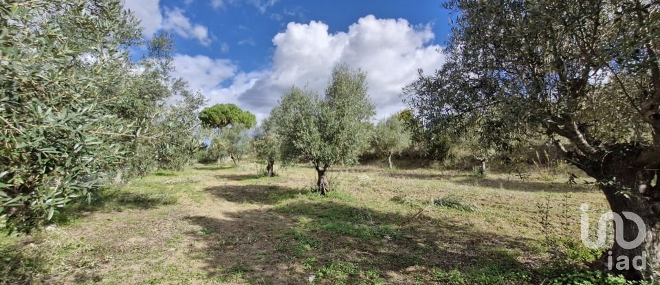 Land in Ereira e Lapa of 4,240 m²