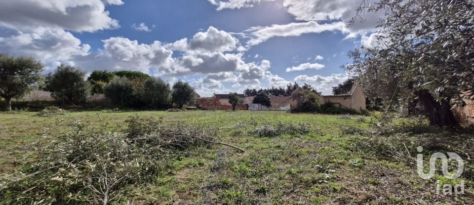 Land in Ereira e Lapa of 4,240 m²