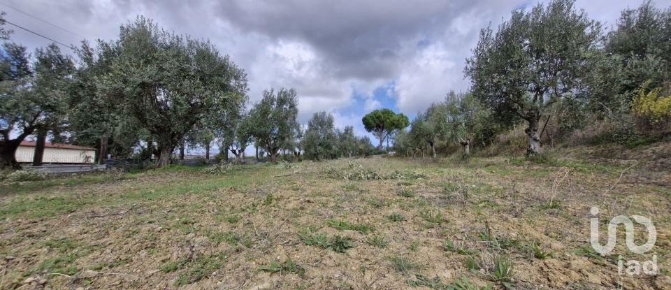 Land in Ereira e Lapa of 4,240 m²