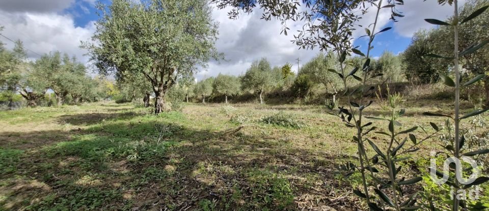 Terreno em Ereira e Lapa de 4 240 m²