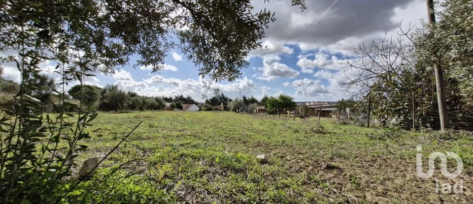 Land in Ereira e Lapa of 4,240 m²