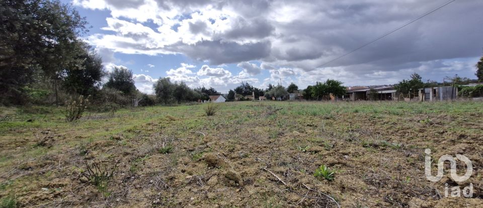 Land in Ereira e Lapa of 4,240 m²