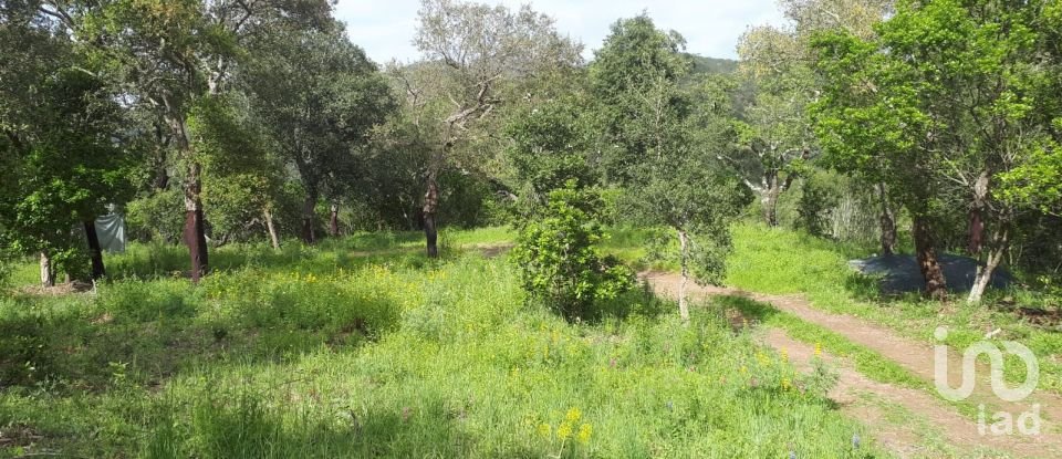 Land in Marmelete of 40,400 m²