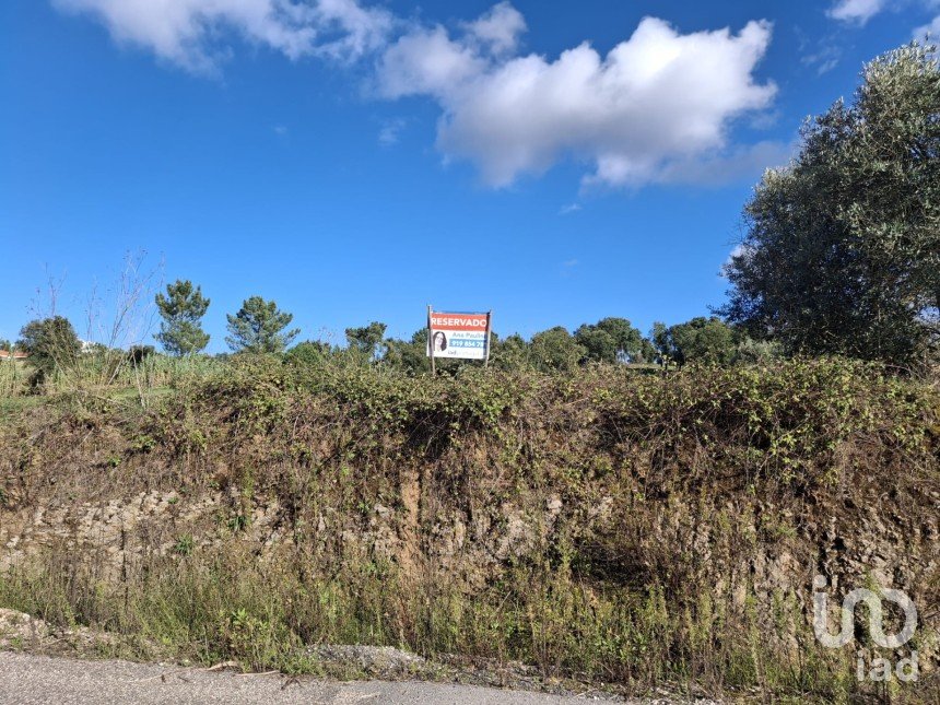 Terreno para construção em São Pedro de Tomar de 5 080 m²