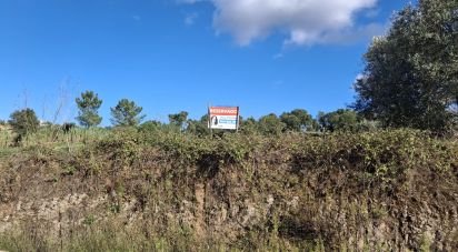 Building land in São Pedro de Tomar of 5,080 m²