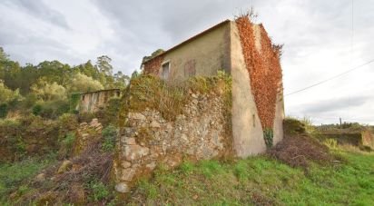 Maison T0 à São Miguel, Santa Eufémia e Rabaçal de 80 m²