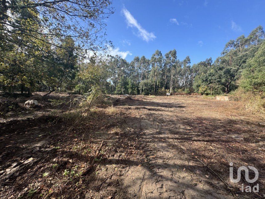 Terreno para construção em Parada de Todeia de 7 480 m²