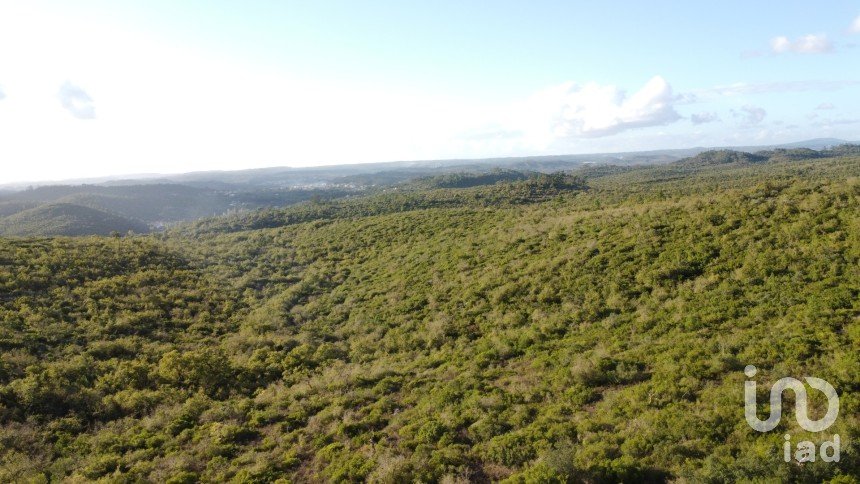 Terreno em Freixianda, Ribeira do Fárrio e Formigais de 60 416 m²