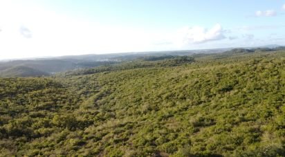 Land in Freixianda, Ribeira do Fárrio e Formigais of 60,416 m²