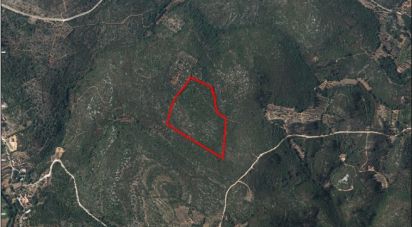 Land in Freixianda, Ribeira do Fárrio e Formigais of 60,416 m²