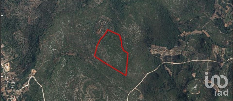 Terrain à Freixianda, Ribeira do Fárrio e Formigais de 60 416 m²