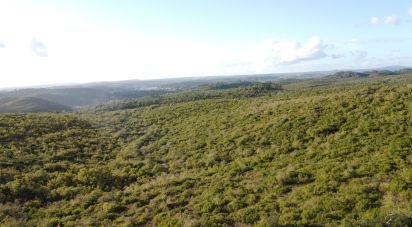 Land in Freixianda, Ribeira do Fárrio e Formigais of 60,416 m²