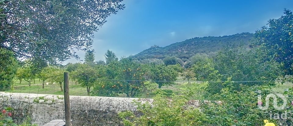 Farm T13 in Monsaraz of 957 m²