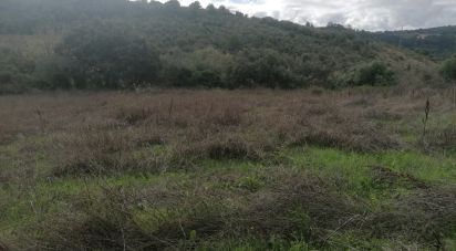 Agricultural land in Igreja Nova e Cheleiros of 3,125 m²