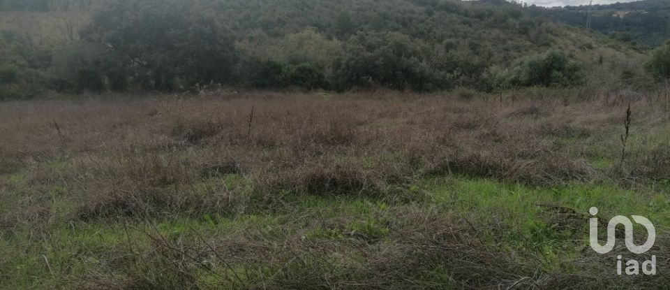 Terreno Agrícola em Igreja Nova e Cheleiros de 3 125 m²