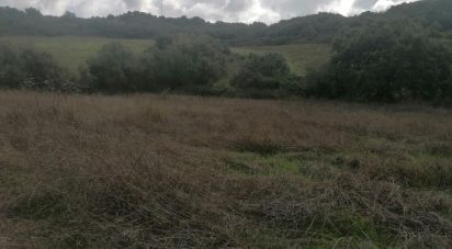 Agricultural land in Igreja Nova e Cheleiros of 3,125 m²