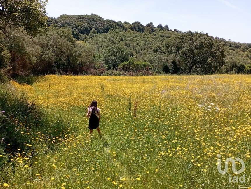 Terrain agricole à Igreja Nova e Cheleiros de 3 125 m²